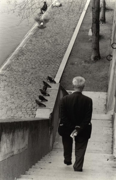 Ben Asen Personal Work Photo: Black and white photo of man walking down the steps to the Seine River in Paris, France with pigeons resting on the steps.