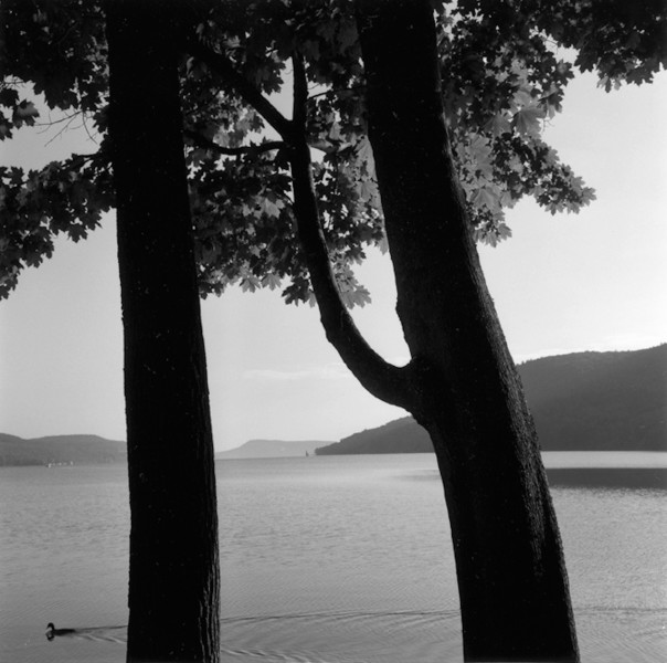 Ben Asen Personal Work Photo: Black and white photo of Ostego Lake in Cooperstown, New York with a duck swimming by 2 trees with hills in the background.